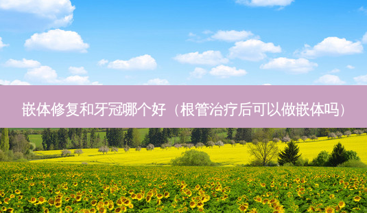 嵌体修复和牙冠哪个好（根管后可以做嵌体吗）-第1张图片-容颜志 - 专注变美资讯