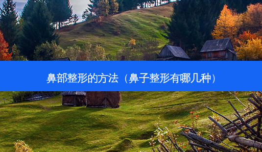 鼻部整形的 *** （鼻子整形有哪几种）-第1张图片-容颜志 - 专注变美资讯