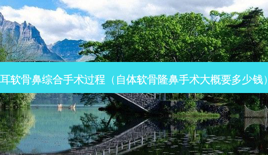 耳软骨鼻综合手术过程（自体软骨隆鼻手术大概要多少钱）-第1张图片-容颜志 - 专注变美资讯