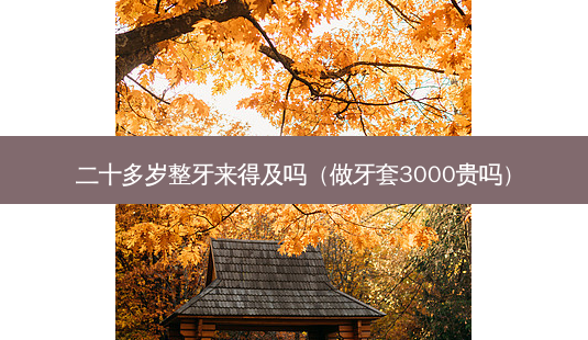 二十多岁整牙来得及吗(做牙套3000贵吗)-第1张图片-容颜志 - 专注变美资讯 二十多岁整牙来得及吗(做牙套3000贵吗)-第1张图片-容颜志 - 专注变美资讯