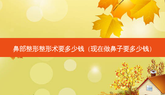 鼻部整形整形术要多少钱(现在做鼻子要多少钱)-第1张图片-容颜志 - 专注变美资讯 鼻部整形整形术要多少钱(现在做鼻子要多少钱)-第1张图片-容颜志 - 专注变美资讯