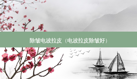 除皱电波拉皮（电波拉皮除皱好）-第1张图片-容颜志 - 专注变美资讯