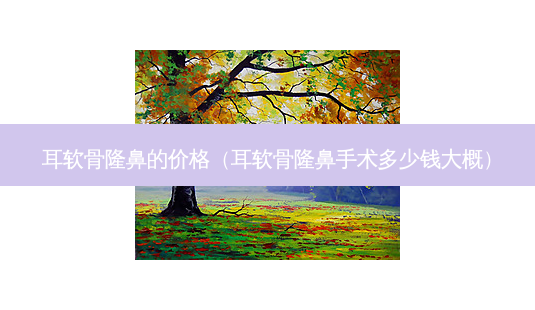 耳软骨隆鼻的价格（耳软骨隆鼻手术多少钱大概）-第1张图片-容颜志 - 专注变美资讯