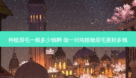 种植眉毛一根多少钱啊 做一对纯植物眉毛要好多钱-第1张图片-容颜志 - 专注变美资讯