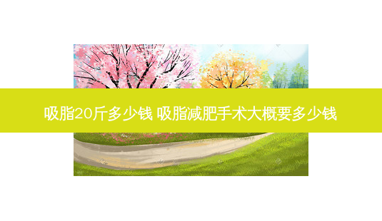 吸脂20斤多少钱 吸脂减肥手术大概要多少钱-第1张图片-容颜志 - 专注变美资讯 吸脂20斤多少钱 吸脂减肥手术大概要多少钱-第1张图片-容颜志 - 专注变美资讯