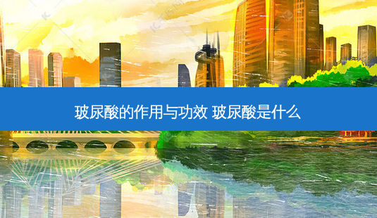 玻尿酸的作用与功效 玻尿酸是什么-第1张图片-容颜志 - 专注变美资讯