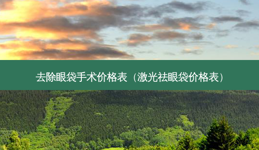 去除眼袋手术价格表（激光祛眼袋价格表）-第1张图片-容颜志 - 专注变美资讯