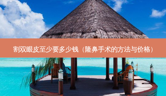 割双眼皮至少要多少钱（隆鼻手术的 *** 与价格）-第1张图片-容颜志 - 专注变美资讯