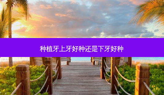 种植牙上牙好种还是下牙好种-第1张图片-容颜志 - 专注变美资讯 种植牙上牙好种还是下牙好种-第1张图片-容颜志 - 专注变美资讯