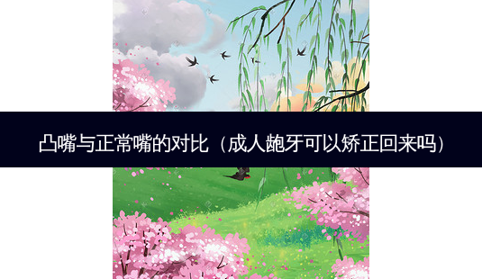 凸嘴与正常嘴的对比(成人龅牙可以矫正回来吗)-第1张图片-容颜志 - 专注变美资讯 凸嘴与正常嘴的对比(成人龅牙可以矫正回来吗)-第1张图片-容颜志 - 专注变美资讯