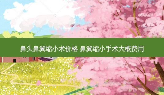 鼻头鼻翼缩小术价格 鼻翼缩小手术大概费用-第1张图片-容颜志 - 专注变美资讯 鼻头鼻翼缩小术价格 鼻翼缩小手术大概费用-第1张图片-容颜志 - 专注变美资讯
