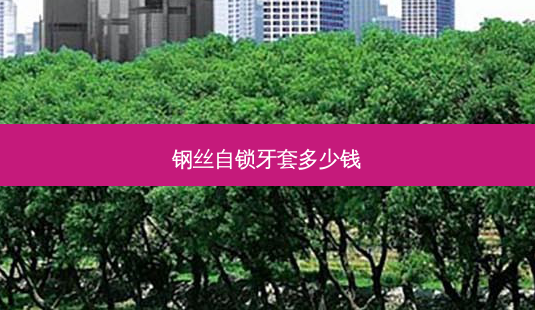 钢丝自锁牙套多少钱-第1张图片-容颜志 - 专注变美资讯