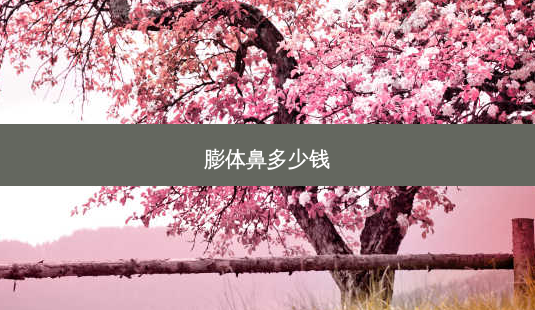 膨体鼻多少钱-第1张图片-容颜志 - 专注变美资讯 膨体鼻多少钱-第1张图片-容颜志 - 专注变美资讯