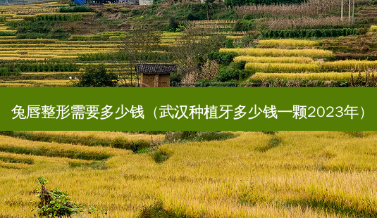 兔唇整形需要多少钱（武汉种植牙多少钱一颗2023年）-第1张图片-容颜志 - 专注变美资讯