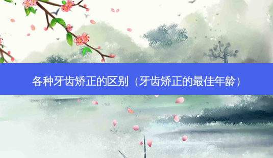 各种牙齿矫正的区别(牙齿矫正的佳年龄)-第1张图片-容颜志 - 专注变美资讯 各种牙齿矫正的区别(牙齿矫正的佳年龄)-第1张图片-容颜志 - 专注变美资讯