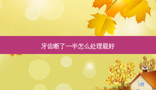 牙齿断了一半怎么处理好-第1张图片-容颜志 - 专注变美资讯