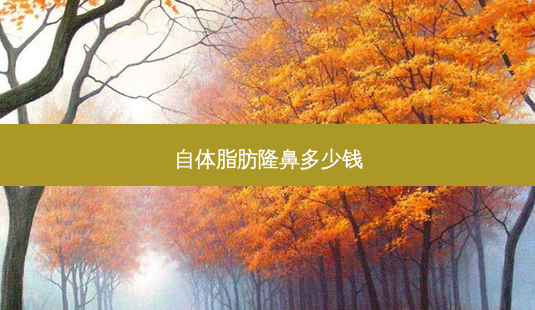 自体脂肪隆鼻多少钱-第1张图片-容颜志 - 专注变美资讯 自体脂肪隆鼻多少钱-第1张图片-容颜志 - 专注变美资讯