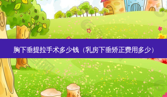 胸下垂提拉手术多少钱（ *** 下垂矫正费用多少）-第1张图片-容颜志 - 专注变美资讯