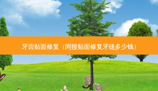 牙齿贴面修复（间接贴面修复牙缝多少钱）-第1张图片-容颜志 - 专注变美资讯