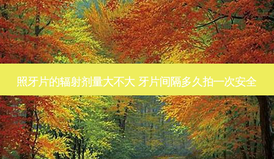 照牙片的辐射剂量大不大 牙片间隔多久拍一次 *** -第1张图片-容颜志 - 专注变美资讯 照牙片的辐射剂量大不大 牙片间隔多久拍一次 *** -第1张图片-容颜志 - 专注变美资讯