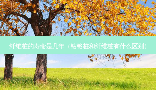 纤维桩的寿命是几年(钴铬桩和纤维桩有什么区别)-第1张图片-容颜志 - 专注变美资讯 纤维桩的寿命是几年(钴铬桩和纤维桩有什么区别)-第1张图片-容颜志 - 专注变美资讯
