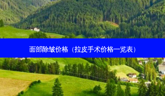 面部除皱价格（拉皮手术价格一览表）-第1张图片-容颜志 - 专注变美资讯