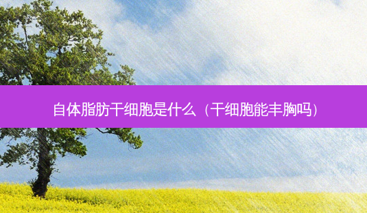 自体脂肪干细胞是什么(干细胞能丰胸吗)-第1张图片-容颜志 - 专注变美资讯 自体脂肪干细胞是什么(干细胞能丰胸吗)-第1张图片-容颜志 - 专注变美资讯