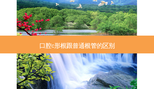 口腔c形根跟普通根管的区别-第1张图片-容颜志 - 专注变美资讯 口腔c形根跟普通根管的区别-第1张图片-容颜志 - 专注变美资讯