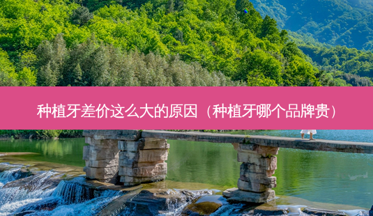 种植牙差价这么大的原因（种植牙哪个品牌贵）-第1张图片-容颜志 - 专注变美资讯