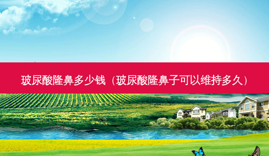 玻尿酸隆鼻多少钱（玻尿酸隆鼻子可以维持多久）-第1张图片-容颜志 - 专注变美资讯