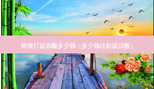 除皱打玻尿酸多少钱(多少钱注射玻尿酸)-第1张图片-容颜志 - 专注变美资讯 除皱打玻尿酸多少钱(多少钱注射玻尿酸)-第1张图片-容颜志 - 专注变美资讯