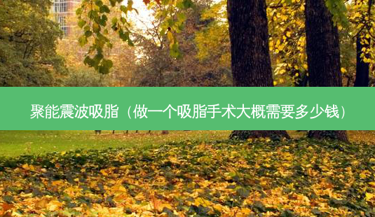 聚能震波吸脂(做一个吸脂手术大概需要多少钱)-第1张图片-容颜志 - 专注变美资讯 聚能震波吸脂(做一个吸脂手术大概需要多少钱)-第1张图片-容颜志 - 专注变美资讯