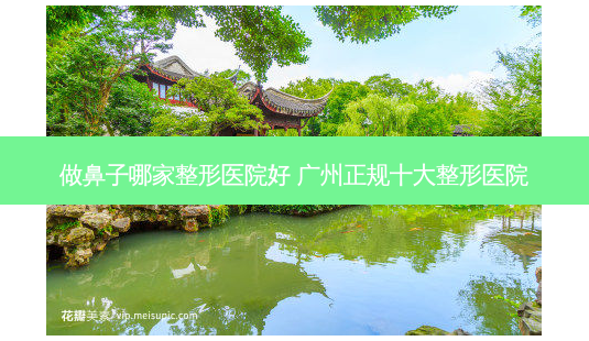 做鼻子哪家整形医院好 广州正规十大整形医院-第1张图片-容颜志 - 专注变美资讯 做鼻子哪家整形医院好 广州正规十大整形医院-第1张图片-容颜志 - 专注变美资讯