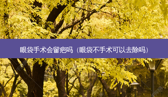 眼袋手术会留疤吗（眼袋不手术可以去除吗）-第1张图片-容颜志 - 专注变美资讯