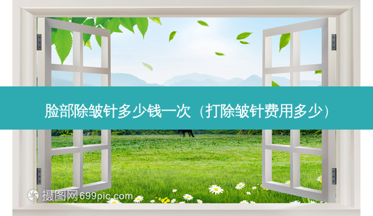 脸部除皱针多少钱一次(打除皱针费用多少)-第1张图片-容颜志 - 专注变美资讯 脸部除皱针多少钱一次(打除皱针费用多少)-第1张图片-容颜志 - 专注变美资讯