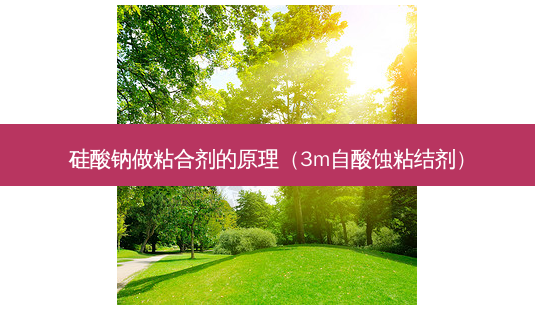 硅酸钠做粘合剂的原理(3m自酸蚀粘结剂)-第1张图片-容颜志 - 专注变美资讯 硅酸钠做粘合剂的原理(3m自酸蚀粘结剂)-第1张图片-容颜志 - 专注变美资讯