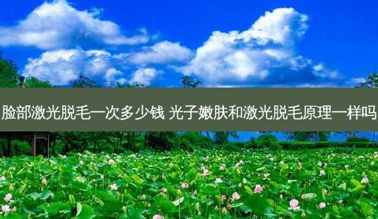 脸部激光脱毛一次多少钱 光子嫩肤和激光脱毛原理一样吗-第1张图片-容颜志 - 专注变美资讯