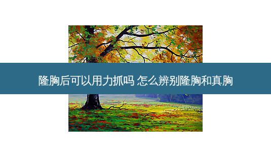 隆胸后可以用力抓吗 怎么辨别隆胸和真胸-第1张图片-容颜志 - 专注变美资讯 隆胸后可以用力抓吗 怎么辨别隆胸和真胸-第1张图片-容颜志 - 专注变美资讯