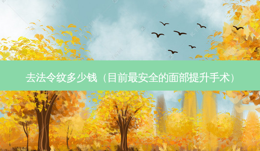 去法令纹多少钱（目前 *** 的面部提升手术）-第1张图片-容颜志 - 专注变美资讯
