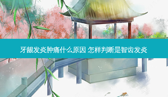 牙龈发炎肿痛什么原因 怎样判断是智齿发炎-第1张图片-容颜志 - 专注变美资讯 牙龈发炎肿痛什么原因 怎样判断是智齿发炎-第1张图片-容颜志 - 专注变美资讯