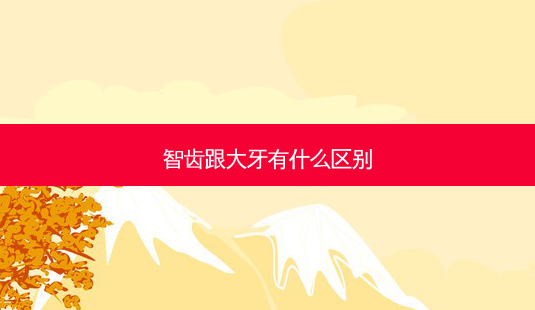 智齿跟大牙有什么区别-第1张图片-容颜志 - 专注变美资讯 智齿跟大牙有什么区别-第1张图片-容颜志 - 专注变美资讯