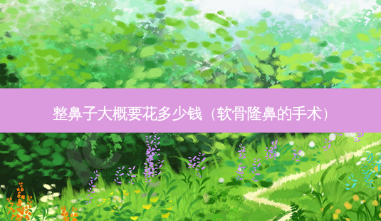 整鼻子大概要花多少钱(软骨隆鼻的手术)-第1张图片-容颜志 - 专注变美资讯 整鼻子大概要花多少钱(软骨隆鼻的手术)-第1张图片-容颜志 - 专注变美资讯