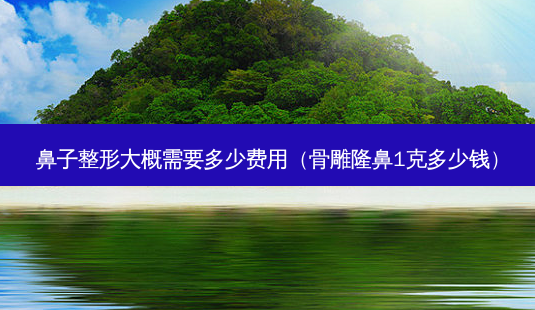 鼻子整形大概需要多少费用(骨雕隆鼻1克多少钱)-第1张图片-容颜志 - 专注变美资讯 鼻子整形大概需要多少费用(骨雕隆鼻1克多少钱)-第1张图片-容颜志 - 专注变美资讯
