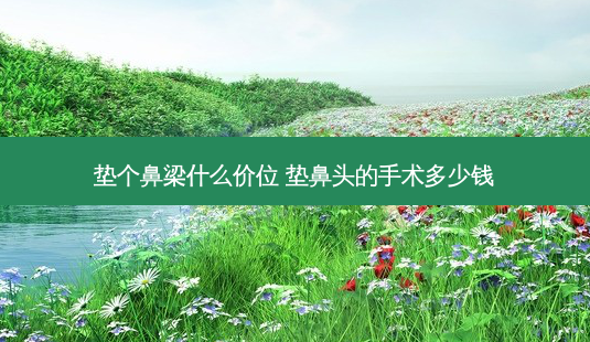 垫个鼻梁什么价位 垫鼻头的手术多少钱-第1张图片-容颜志 - 专注变美资讯 垫个鼻梁什么价位 垫鼻头的手术多少钱-第1张图片-容颜志 - 专注变美资讯