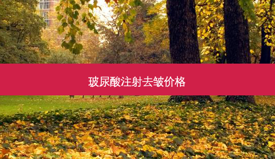 玻尿酸注射去皱价格-第1张图片-容颜志 - 专注变美资讯 玻尿酸注射去皱价格-第1张图片-容颜志 - 专注变美资讯