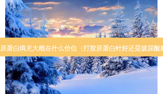 胶原蛋白填充大概在什么价位（打胶原蛋白针好还是玻尿酸好）-第1张图片-容颜志 - 专注变美资讯