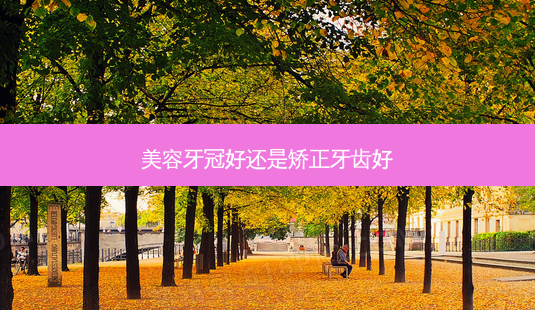 美容牙冠好还是矫正牙齿好-第1张图片-容颜志 - 专注变美资讯 美容牙冠好还是矫正牙齿好-第1张图片-容颜志 - 专注变美资讯