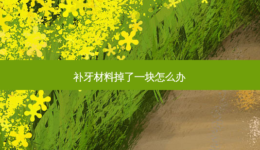 补牙材料掉了一块怎么办-第1张图片-容颜志 - 专注变美资讯 补牙材料掉了一块怎么办-第1张图片-容颜志 - 专注变美资讯