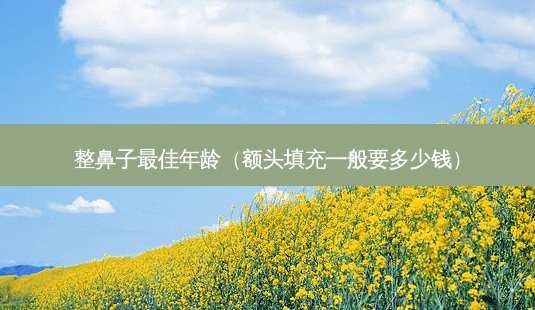 整鼻子佳年龄（额头填充一般要多少钱）-第1张图片-容颜志 - 专注变美资讯