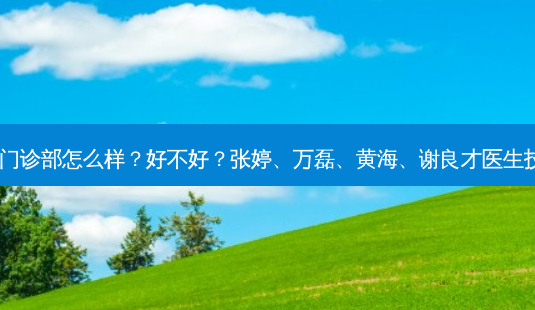武汉一美门诊部怎么样?好不好?张婷、万磊、黄海、谢良才医生技术!-第1张图片-容颜志 - 专注变美资讯 武汉一美门诊部怎么样?好不好?张婷、万磊、黄海、谢良才医生技术!-第1张图片-容颜志 - 专注变美资讯